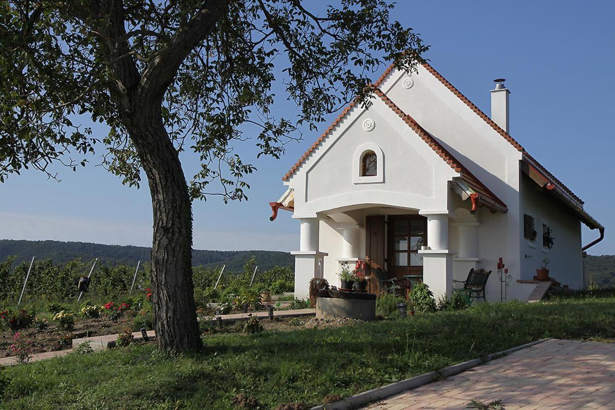 Casa Beata Villa Lesencetomaj Exterior photo